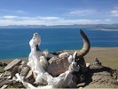 阿里A線：西藏阿里大北線“13日游”＜轉(zhuǎn)神山圣湖，穿越諸神景仰的圣地?。?></a></dt>
								<dd>
									<h3><a title=